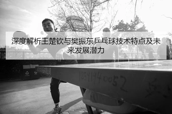 深度解析王楚钦与樊振东乒乓球技术特点及未来发展潜力（BETWAY SPORTS）
